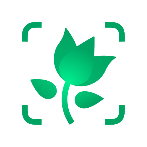 Picturethis Identificar Planta.png