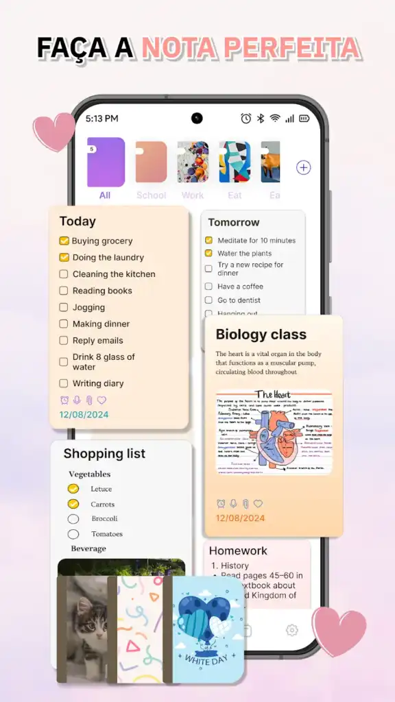 Cute Notes Premium Apk