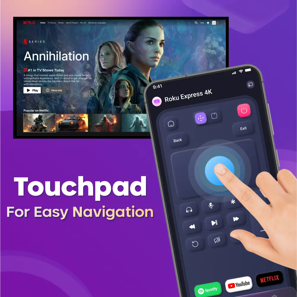 Roku Remote Pro