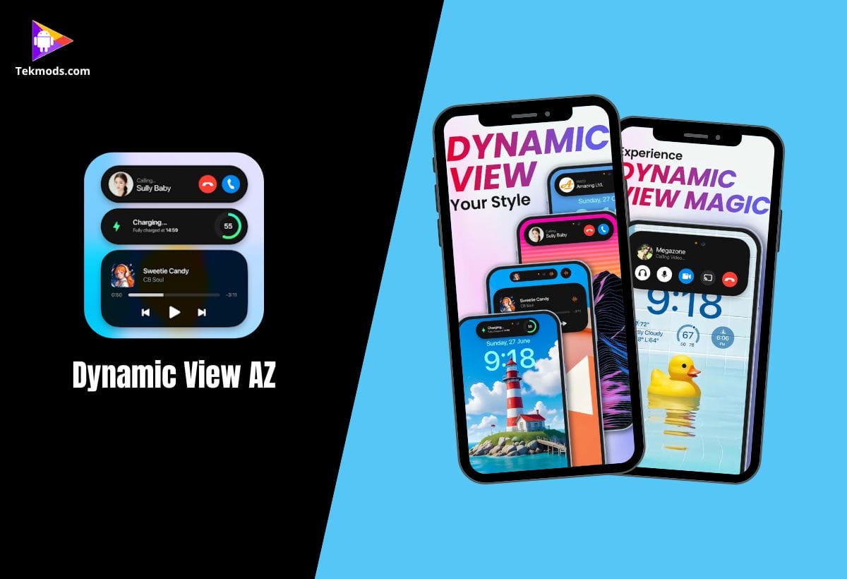 Dynamic View AZ