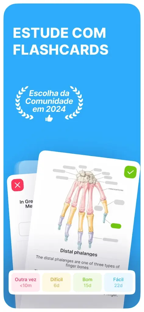 Noji Flashcards De Estudo Mod Apk