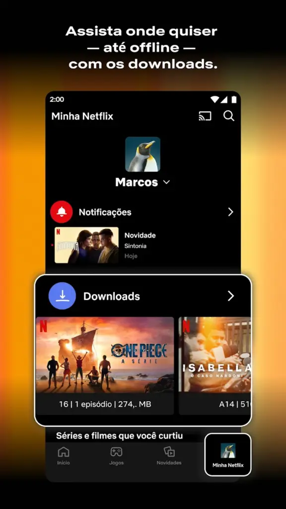 Netflix Apk