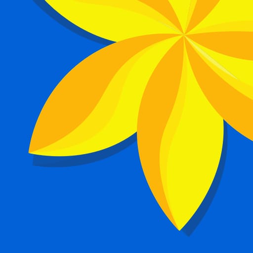 Galeria – Galeria de Fotos