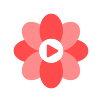 Touch Shorts – Short Drama