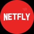 Netfly – Filmes e Séries