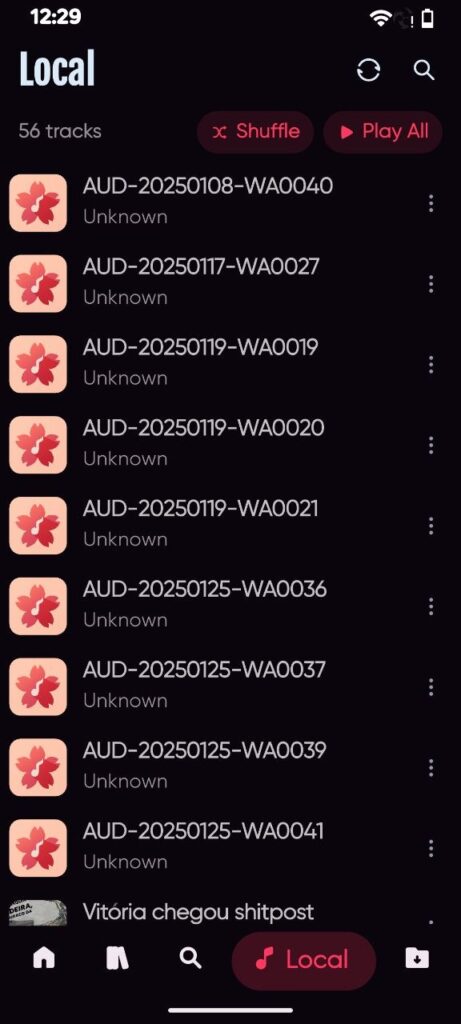 Bloomee Tunes Mod Apk
