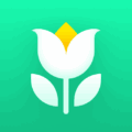 Plant Parent – Guia de Cuidados