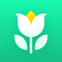 Plant Parent – Guia de Cuidados